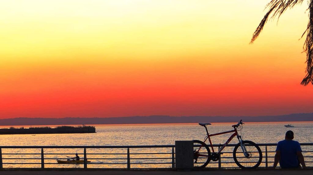 EcoCelPro Misiones, especialista en aislamiento por celulosa